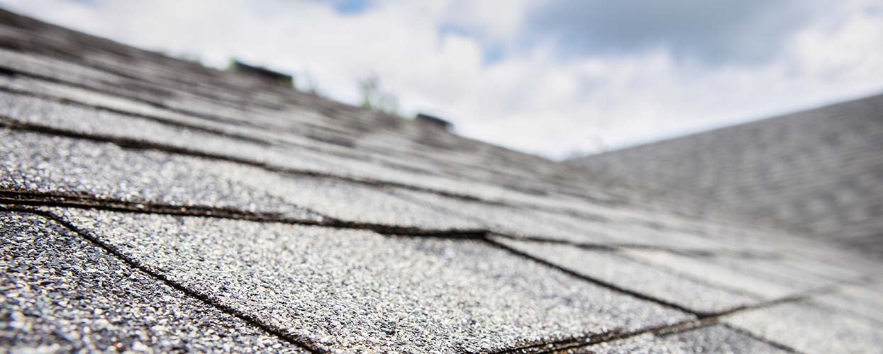 The roof of a house