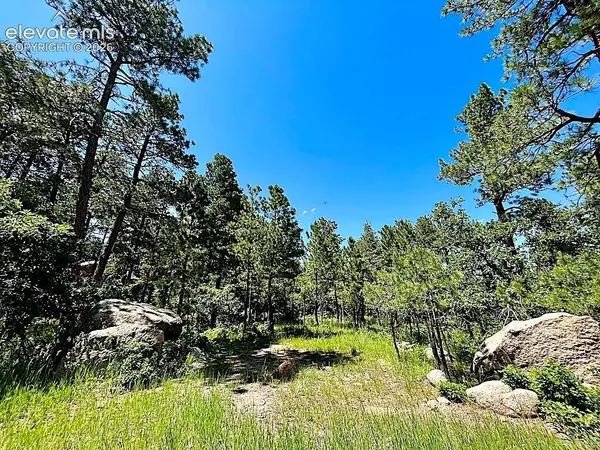 584 Silver Oak GRV, Colorado Springs, CO 80906