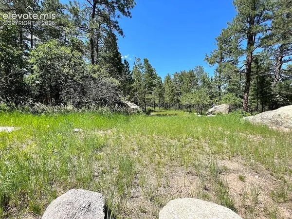 584 Silver Oak GRV, Colorado Springs, CO 80906