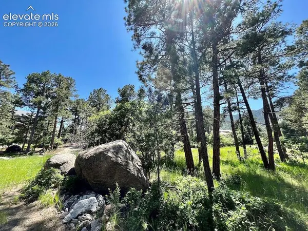 584 Silver Oak GRV, Colorado Springs, CO 80906
