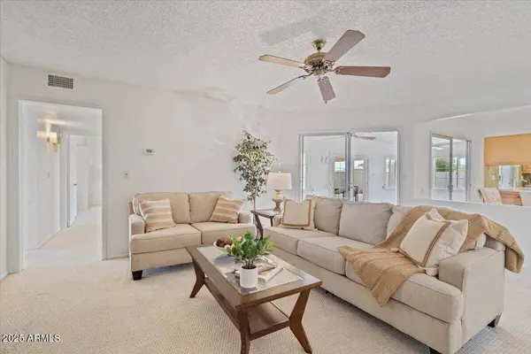 10001 W DEANITA Lane, Sun City, AZ 85351