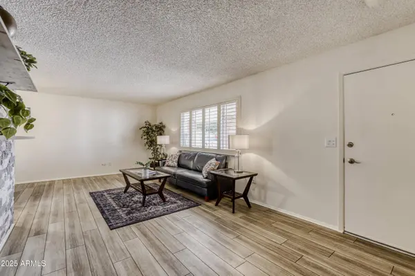 9205 W RAINTREE Drive, Sun City, AZ 85351