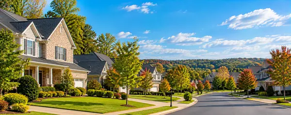 Serene Suburban Street in Fall
