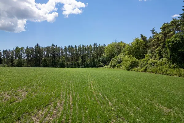 4206 Middle RD, Clarington, ON L1C 3K2