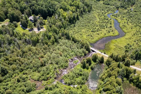 982 Porter RD, Kawartha Lakes, ON L0A 1A0