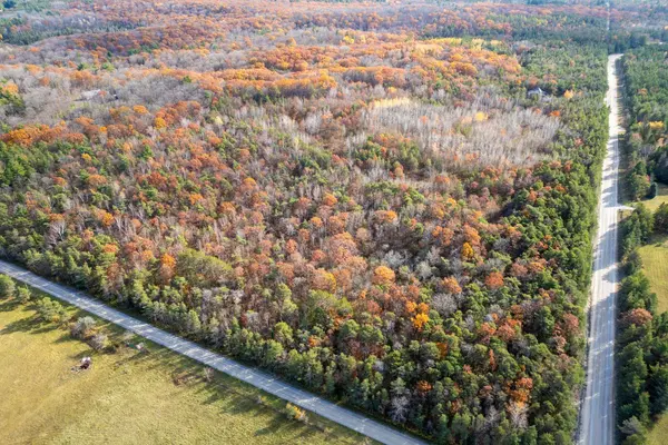 PT LT 1 CON 3 MANVERS N/A, Kawartha Lakes, ON L0A 1K0
