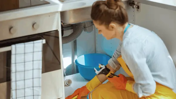 What Should I Fix Before Selling My Home in Southern Minnesota?,Sonja Zoet