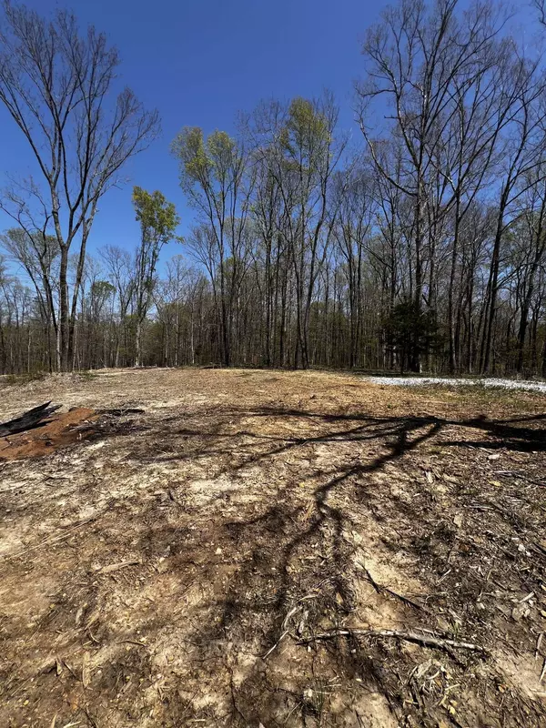 0 Norris Hollow Road, Vanleer, TN 37181