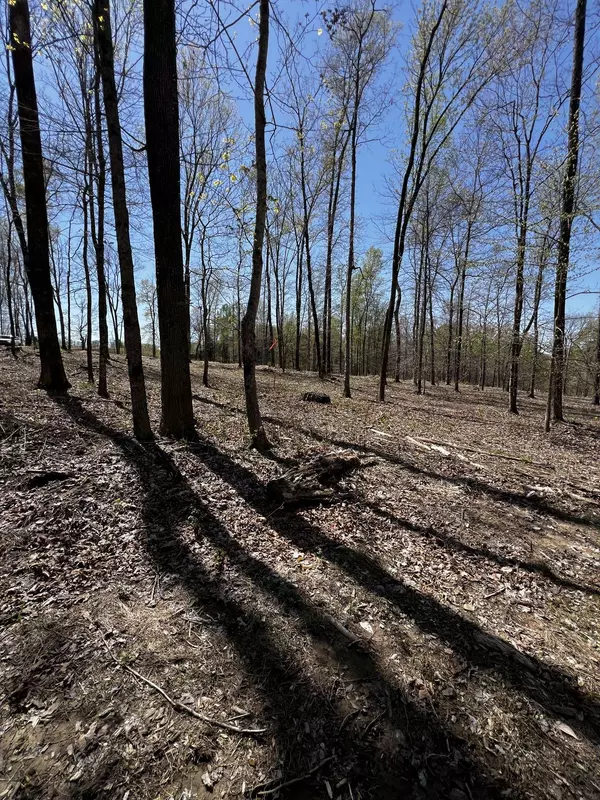 0 Norris Hollow Road, Vanleer, TN 37181