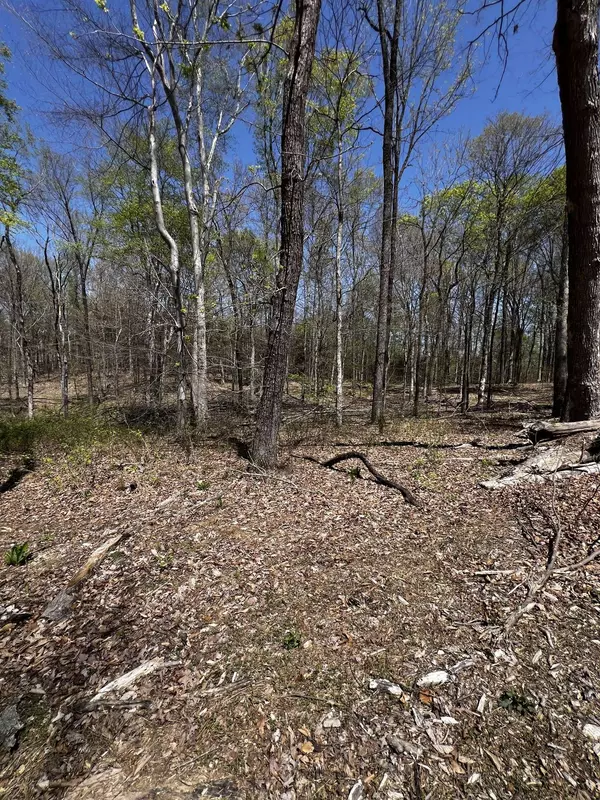 0 Norris Hollow Road, Vanleer, TN 37181