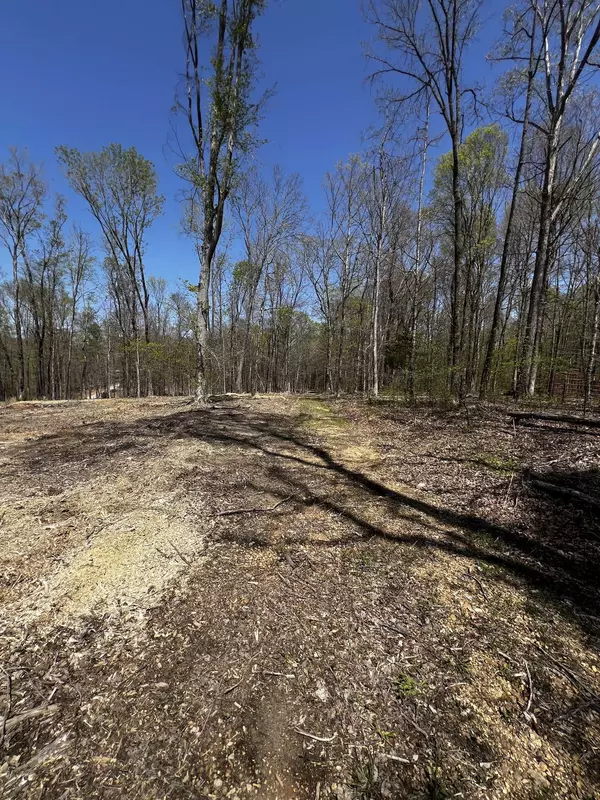 0 Norris Hollow Road, Vanleer, TN 37181