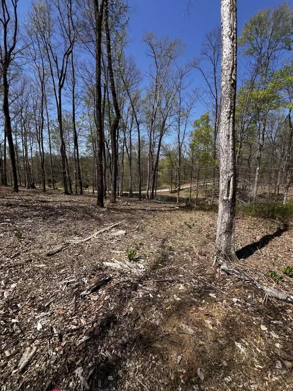 0 Norris Hollow Road, Vanleer, TN 37181