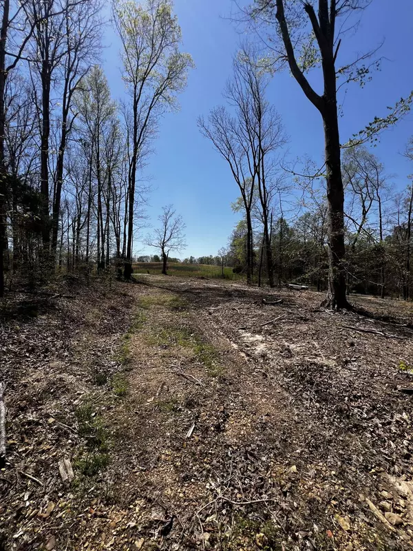 0 Norris Hollow Road, Vanleer, TN 37181