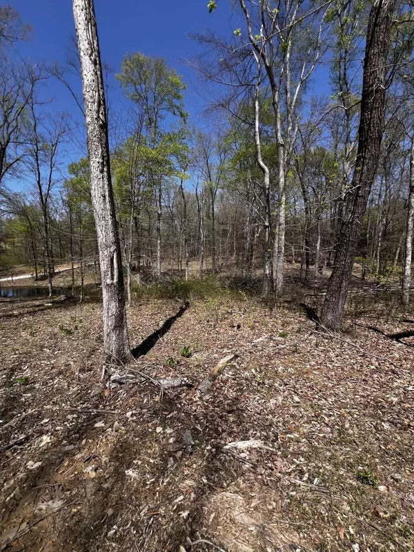 0 Norris Hollow Road, Vanleer, TN 37181