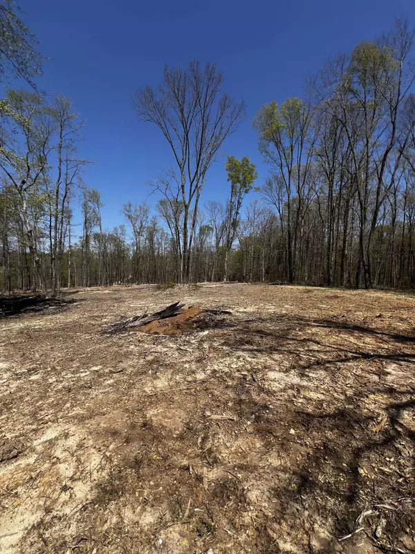 0 Norris Hollow Road, Vanleer, TN 37181