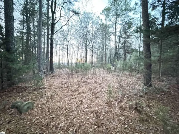 111 Hortizone Drive, Woodruff, SC 29388