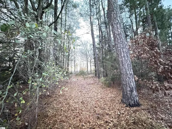 111 Hortizone Drive, Woodruff, SC 29388