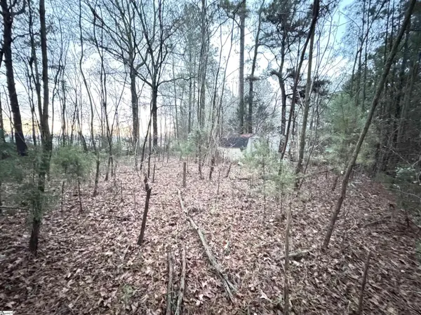 111 Hortizone Drive, Woodruff, SC 29388