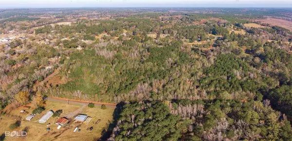 Lot 1 E Palmetto Avenue, Plain Dealing, LA 71064