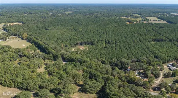 0 Old Plain Dealing, Plain Dealing, LA 71064