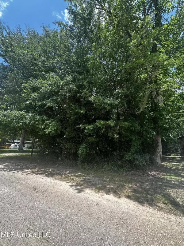 Plum Bluff Drive, Lucedale, MS 39452