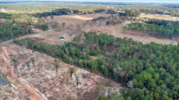 Brashier Lane, Lucedale, MS 39452