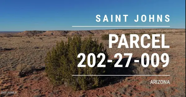 150 150 County Road N6100 -- #-, St Johns, AZ 85936