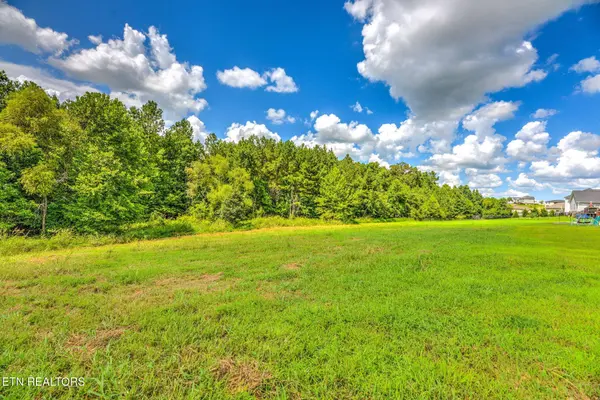 114 Elderberry St, Oak Ridge, TN 37830
