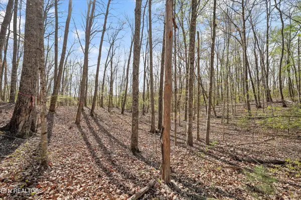 313 Green Ridge PL, Harriman, TN 37748