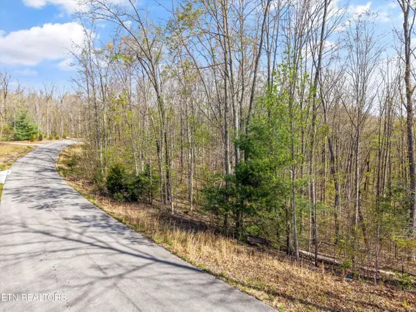 313 Green Ridge PL, Harriman, TN 37748