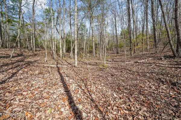 313 Green Ridge PL, Harriman, TN 37748