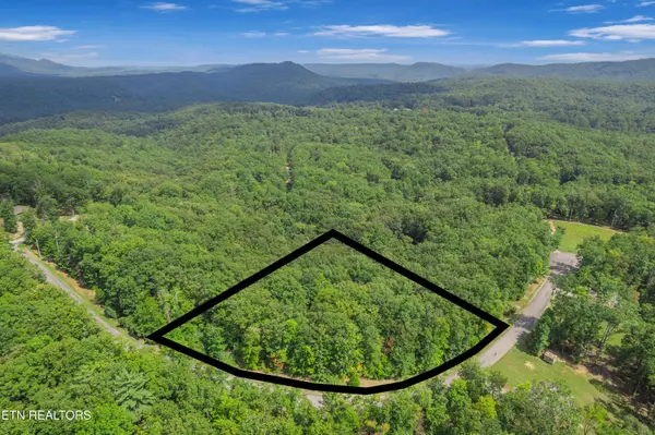 313 Green Ridge PL, Harriman, TN 37748