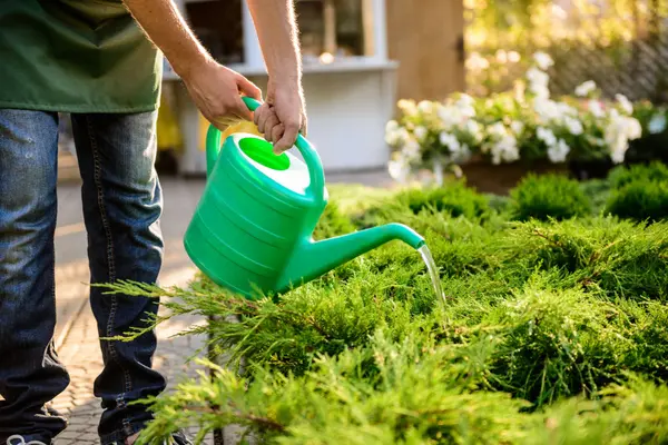 feature image of  Summer Water Tips in Greater Vancouver (2026)