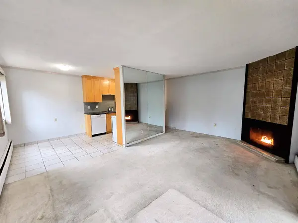 350 E 5th AVE #207, Vancouver, BC V5T 1H4