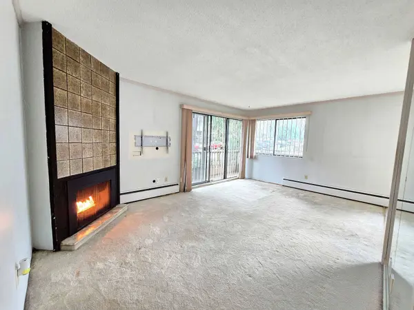 350 E 5th AVE #207, Vancouver, BC V5T 1H4