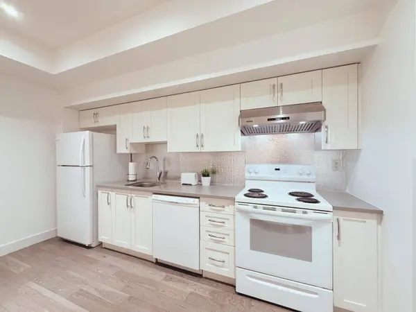 1030* 166b ST #Basement, Surrey, BC V4N 6V4