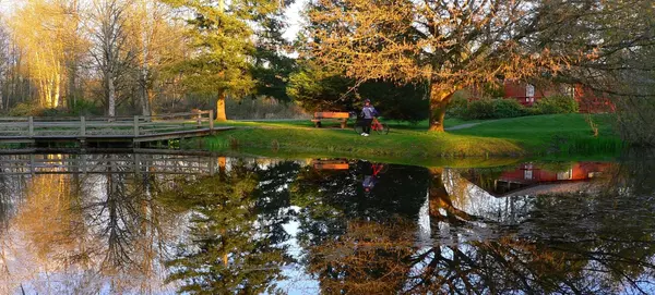 Best Neighbourhoods in Langley for Families: Home Prices, Market Trends, and Community Vibe