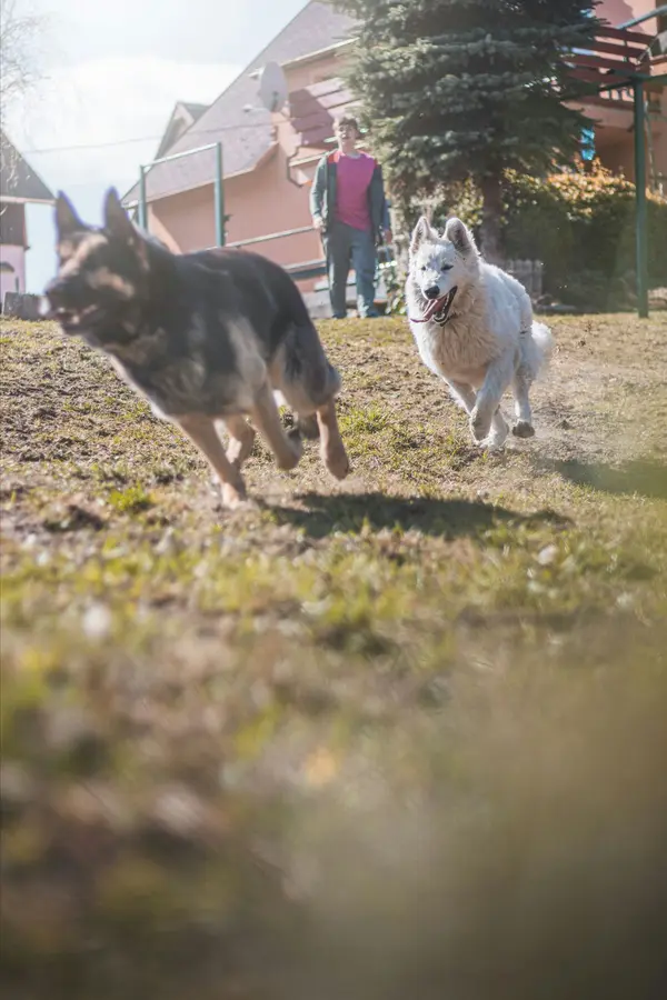 lukas-vanatko-ivO9oUqpmvE-unsplash