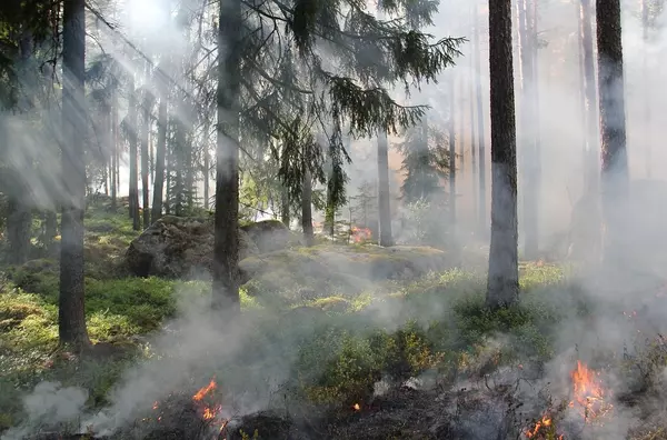 2025 Wildfire Risk in Southwest Colorado: What You Need to Know and How to Prepare