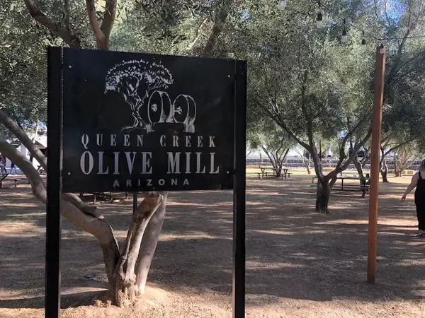 feature image of Discover Life Around Queen Creek Olive Mill: Where Local Charm Meets Everyday Convenience