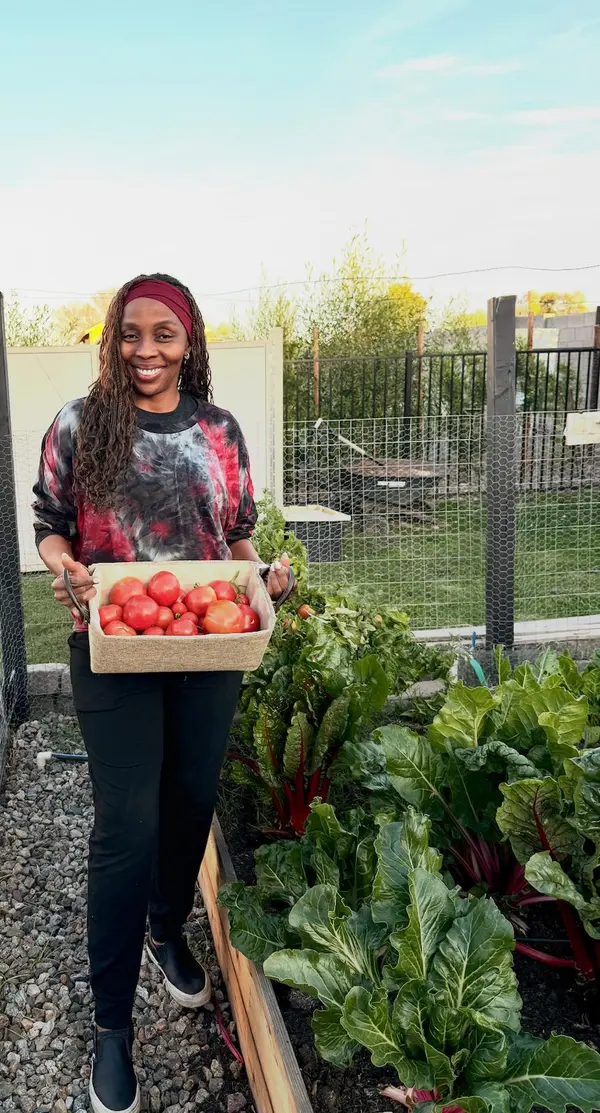 feature image of Arizona Gardening Tip: The Secret to Thriving Plants in the Desert