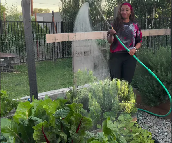feature image of Raised Garden Beds: Are They Worth It in Arizona?