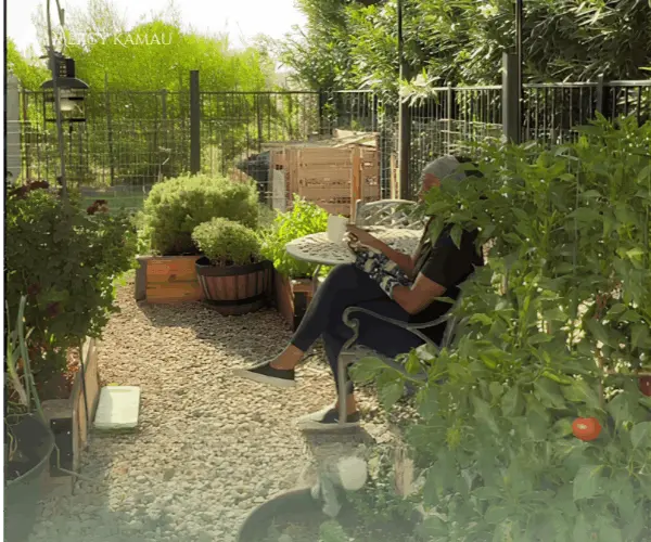 feature image of Vegetable Gardening in Arizona: What to Plant Each Season