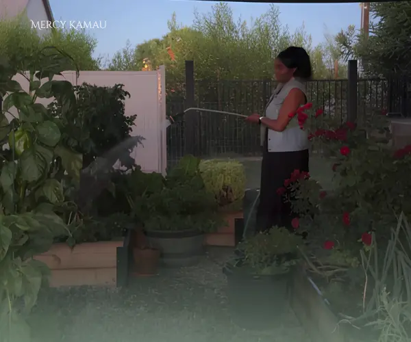 feature image of Arizona Gardening in July: What to Plant and How to Keep Your Garden Thriving