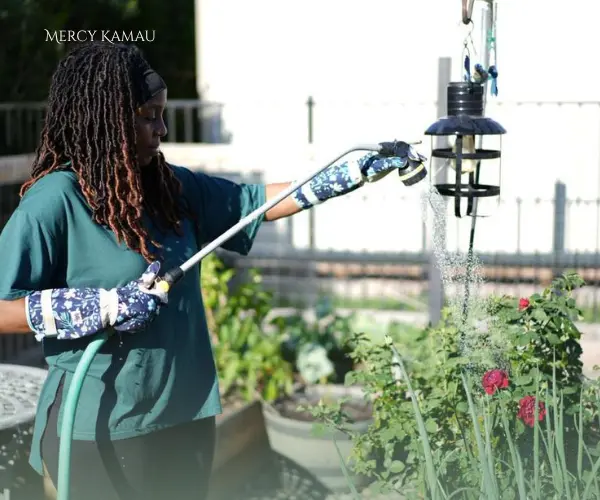 feature image of How to Save Water While Gardening in Arizona