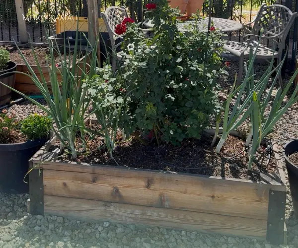 feature image of Arizona Soil Tips Every Homeowner Should Know