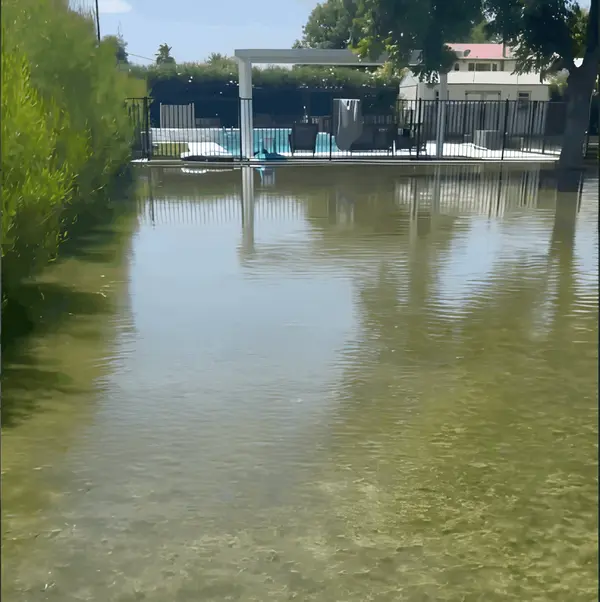 feature image of Why Flood Irrigation Is One of Arizona's Best-Kept Gardening Secrets