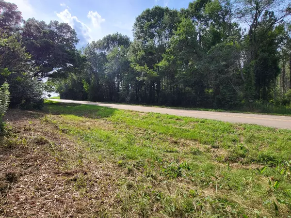 1082 MS-590 E, Seminary, MS 39479