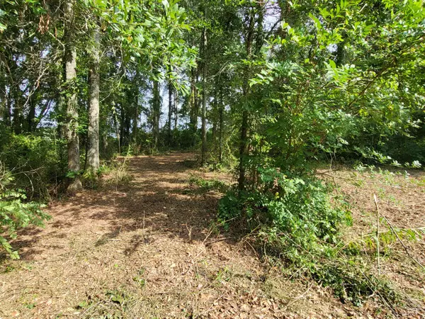 1082 MS-590 E, Seminary, MS 39479