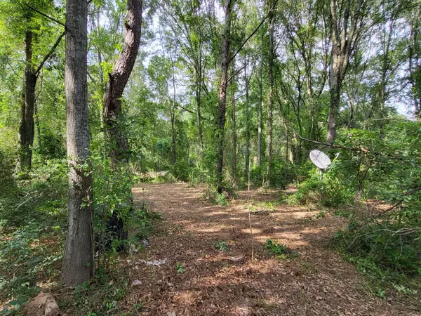 1082 MS-590 E, Seminary, MS 39479